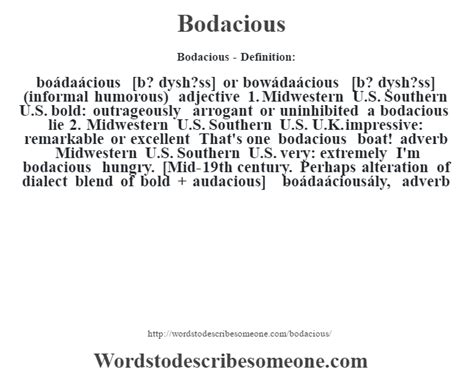 bodacious adjective .